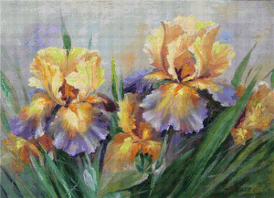 Ириса - цветы - предпросмотр