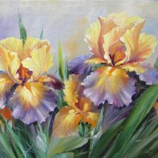 Схема вышивки «Ириса»