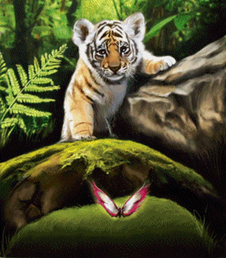 Тигрик и бабочка - тигры, животные, бабочка - предпросмотр