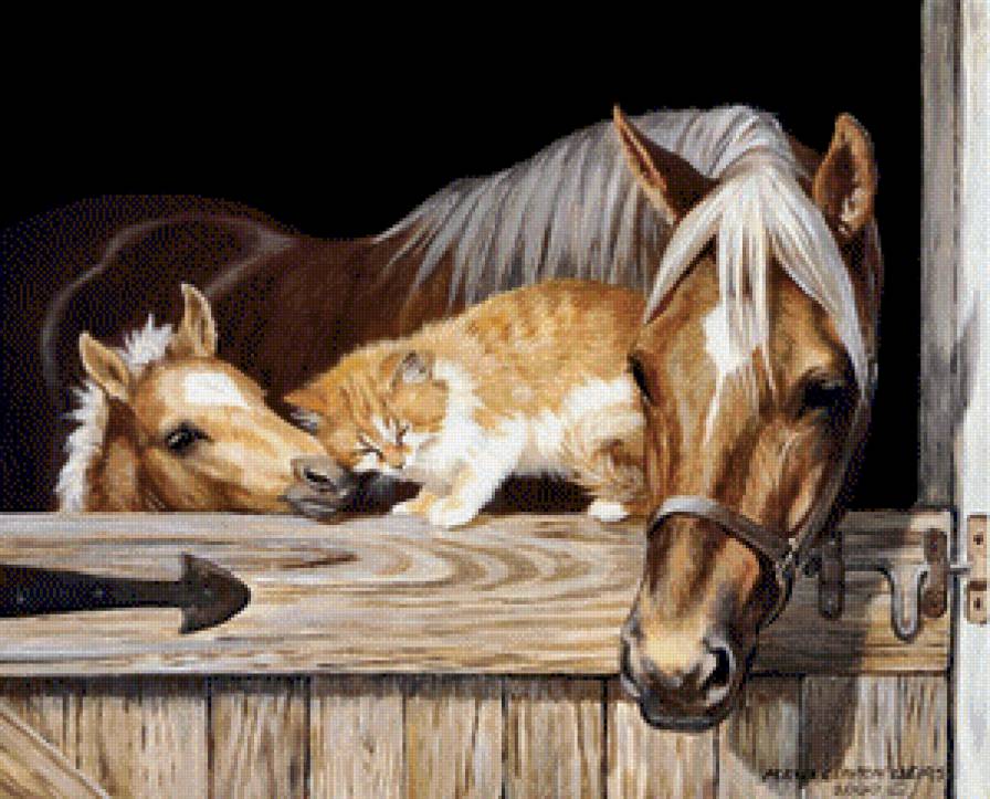 дружба животных - животные - предпросмотр