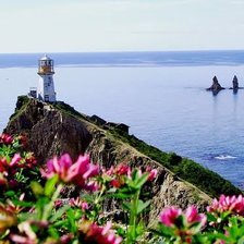 Схема вышивки «мыс бринера»