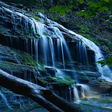 Схема вышивки «природа»