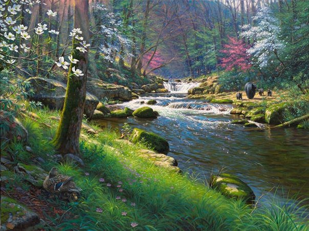 Лесная речка - пейзаж, лес, река, природа - оригинал