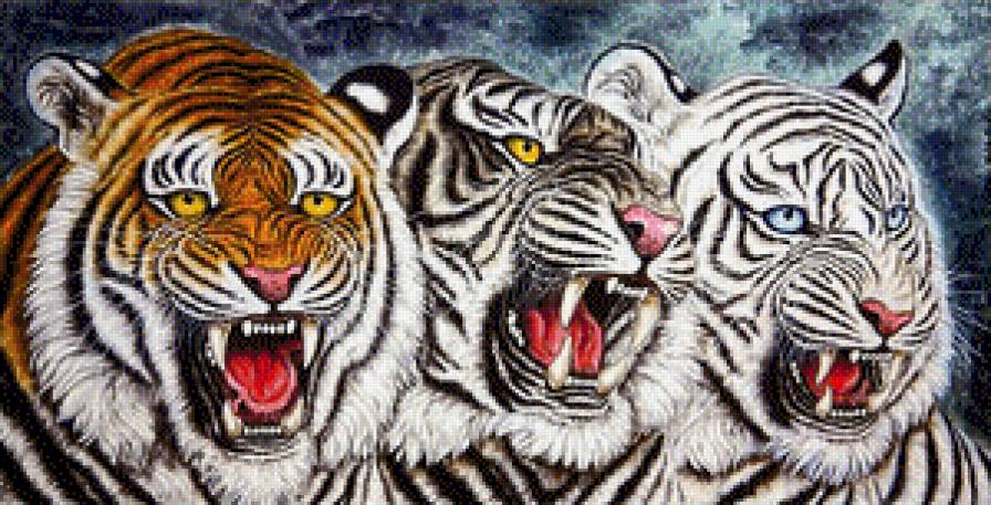 три масти - хищник, тигры, белый тигр, тигр - предпросмотр