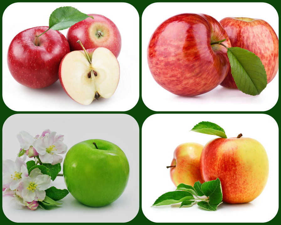 яблоки - оригинал