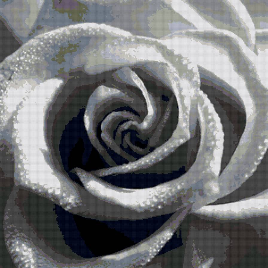 подушка роза - черно-белое, подушка, роза, цветы - предпросмотр