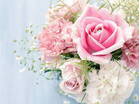 Схема вышивки «№635639»