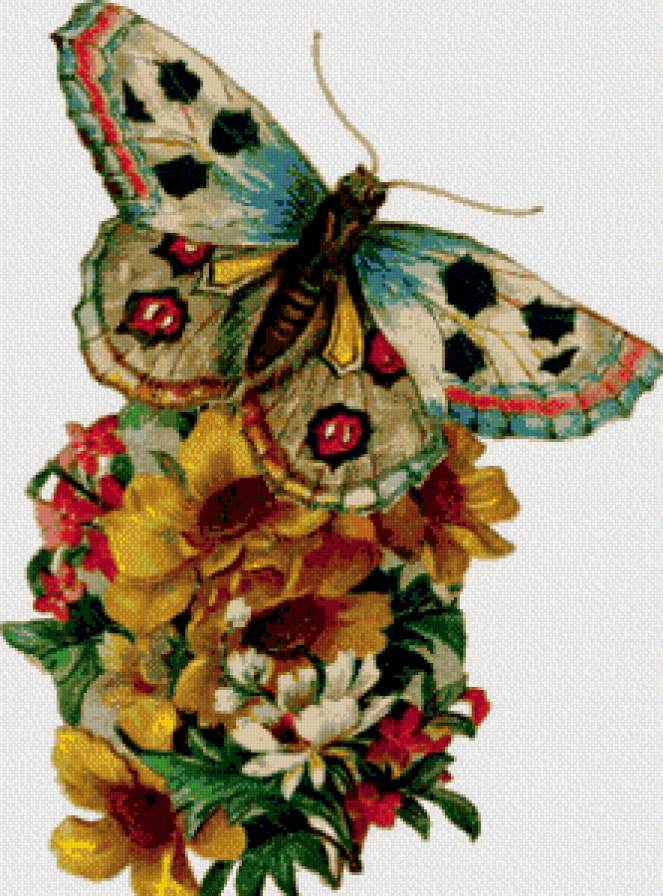 №635650 - бабочки - предпросмотр