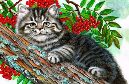 №635667 - животные - оригинал