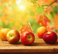 Схема вышивки «№635740»