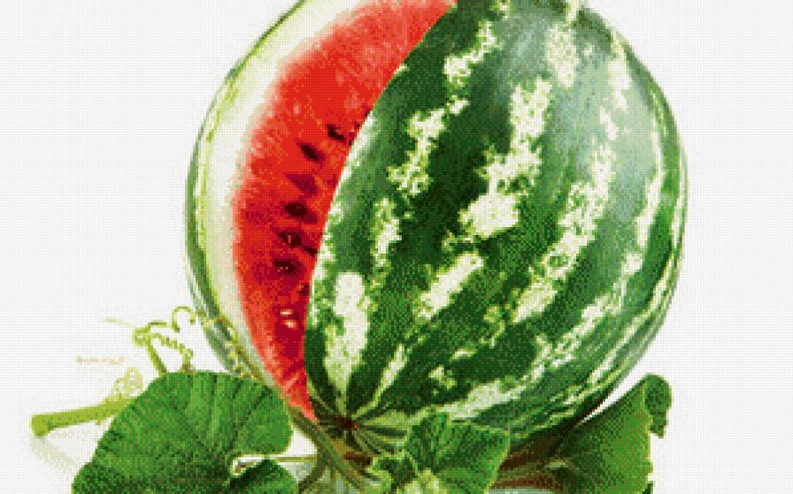 №635760 - фрукты.кухня - предпросмотр