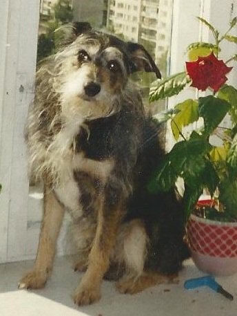 Малыш 2 - оригинал