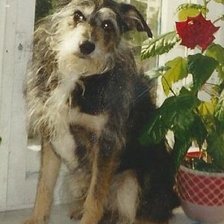 Схема вышивки «Малыш 2»