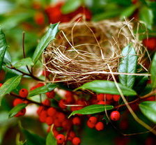 Схема вышивки «№635873»