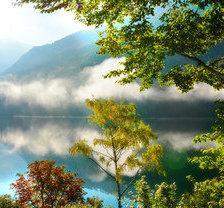 Схема вышивки «№635875»