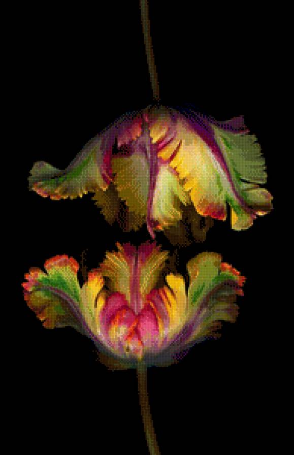 тюльпаны - картина цветы - предпросмотр