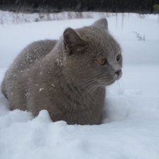 Схема вышивки «ляля»