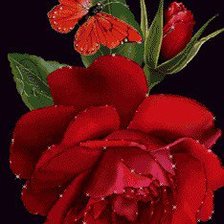 Схема вышивки «№636085»