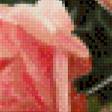 Предпросмотр схемы вышивки «розовые пионы» (№636088)