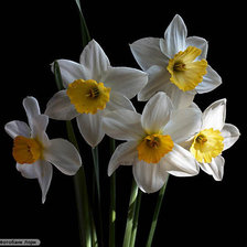 Схема вышивки «№636150»