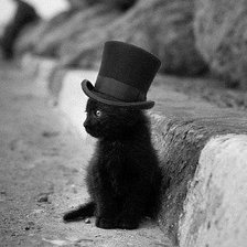 Схема вышивки «джентельмен»