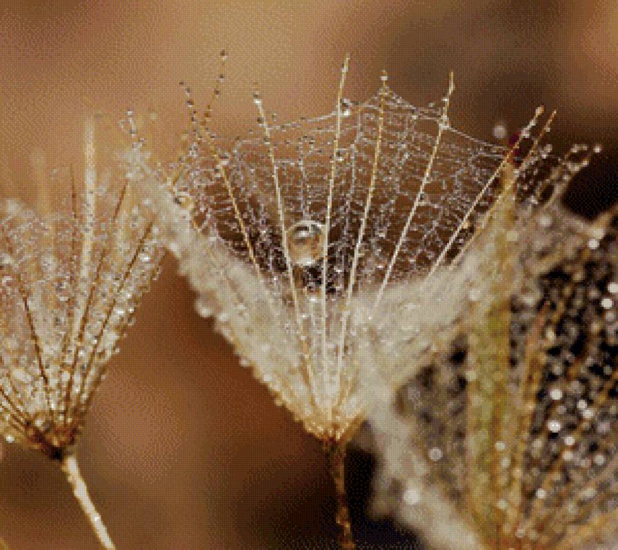 капля росы - предпросмотр