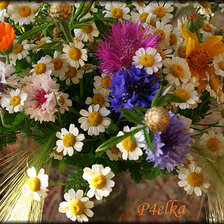 Схема вышивки «букет полевых цветов»