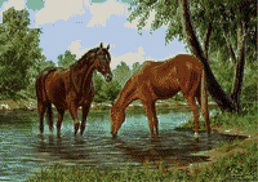 водопой - лошади - предпросмотр