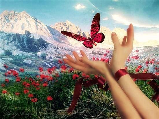 красота - пейзаж - оригинал