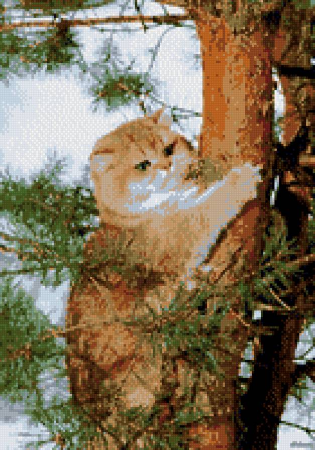 кот на дереве - кошки, животные - предпросмотр