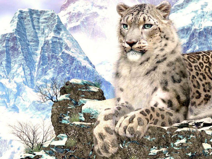 Снежный барс - животные - оригинал