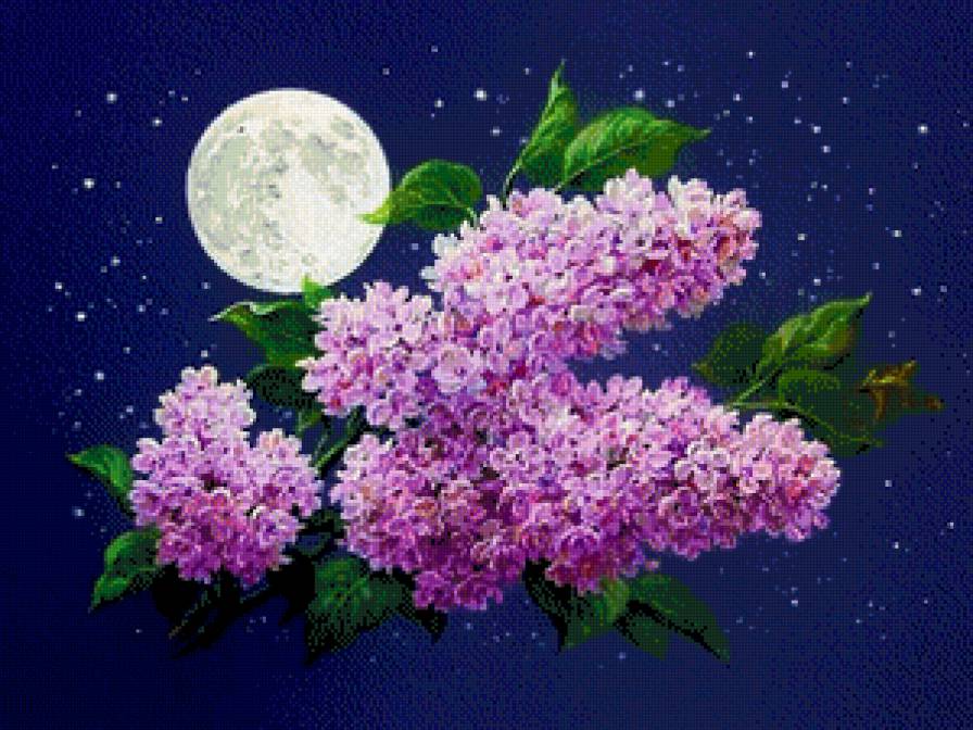 Букет сирени - букет, сирень - предпросмотр