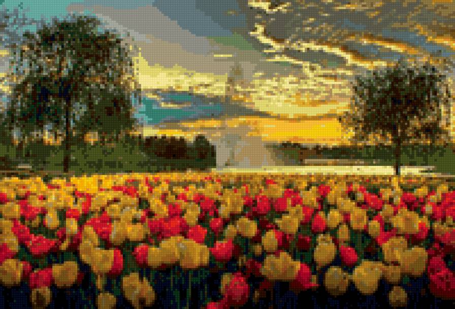 поле тюльпанов - цветы - предпросмотр