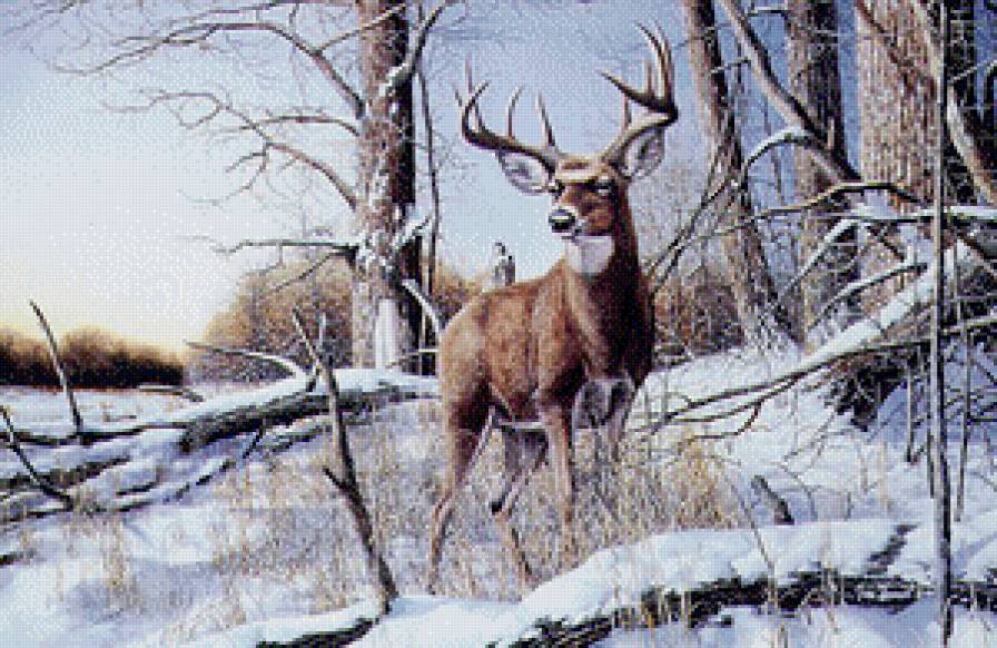 Лесные обитатели - олени, зима, лес - предпросмотр
