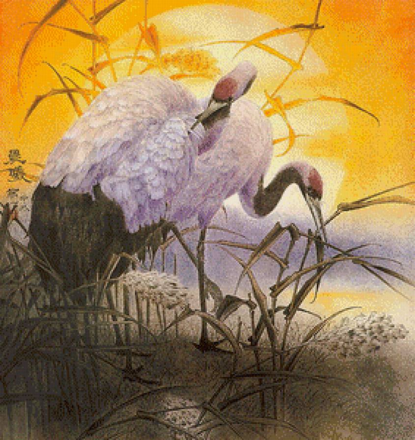 журавли на рассвете - журавль, озеро, рассвет, семейное счастье, восток, солнце, китай - предпросмотр