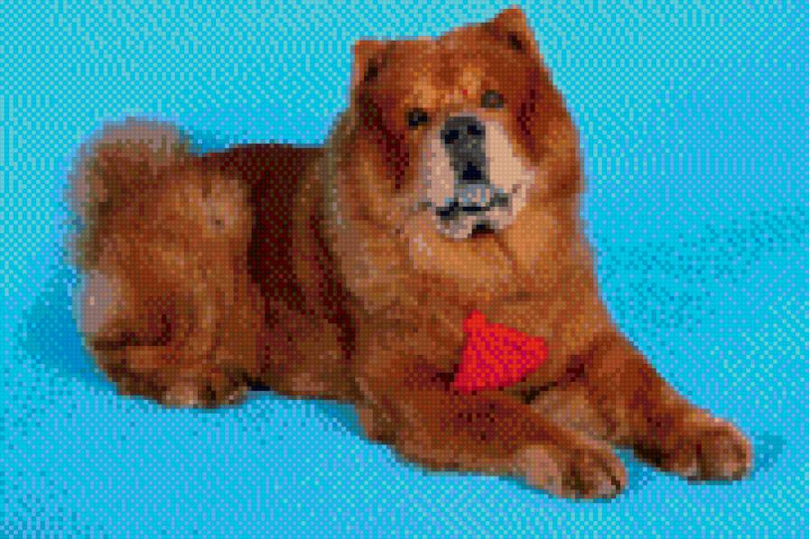 ЧАУ Рэд - предпросмотр