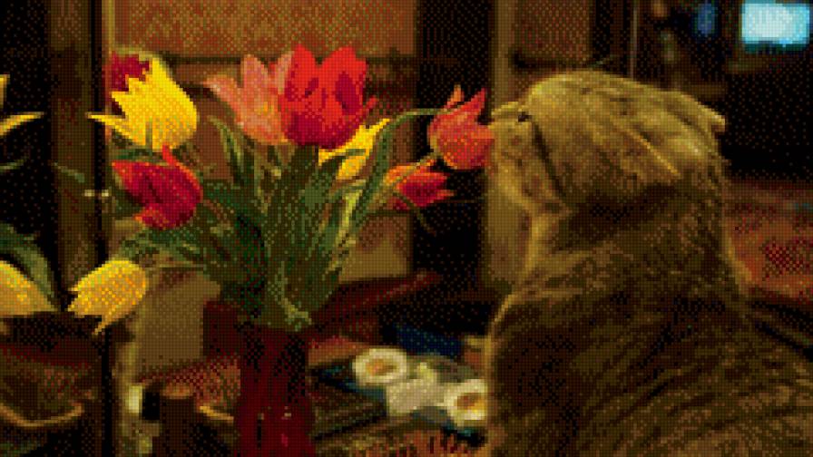 Тоша - тюльпан, котенок, животные - предпросмотр