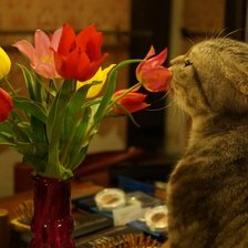 Схема вышивки «Тоша»