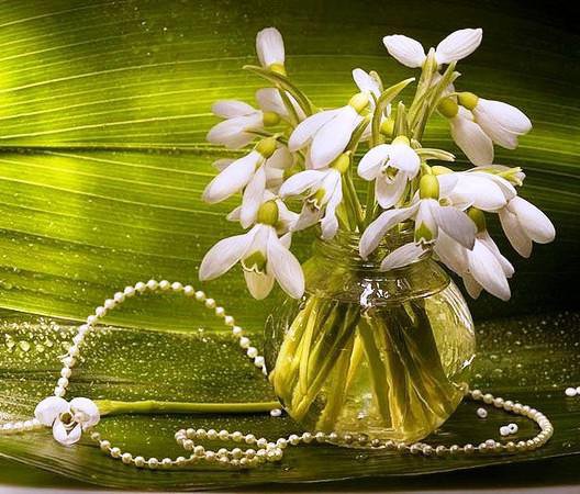 подснежники - оригинал