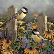 Схема вышивки «птички-невелички»