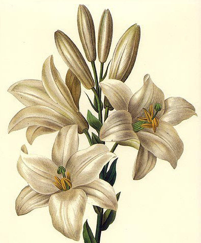 №637872 - оригинал