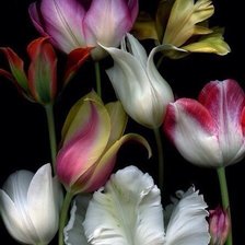 Схема вышивки «№637924»