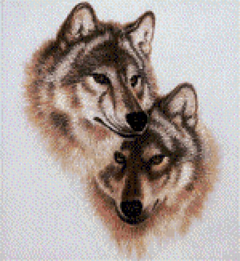 волки - предпросмотр