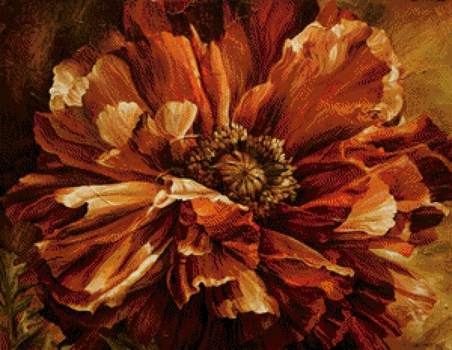 цветок мака - цветок, мак, арт, живопись - предпросмотр