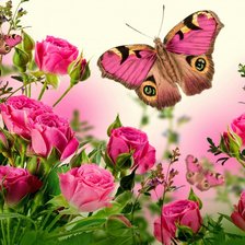 Оригинал схемы вышивки «розы и бабочки» (№638039)