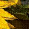 Предпросмотр схемы вышивки «подсолнухи» (№638058)
