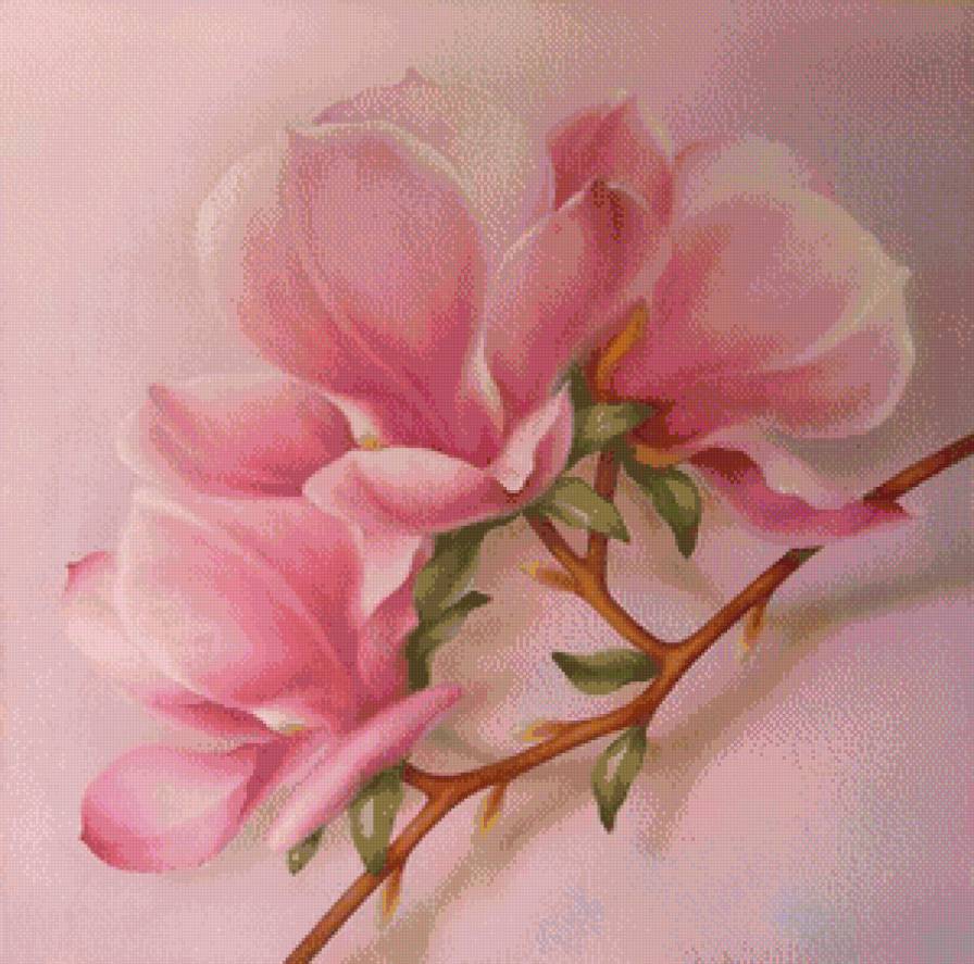 ветка магнолии - ветка, восток, нажность, весна, магнолия - предпросмотр