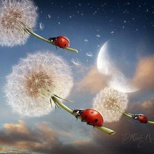 Схема вышивки «№638273»