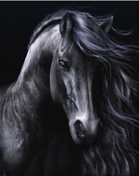 Лошадь - лошадь - оригинал