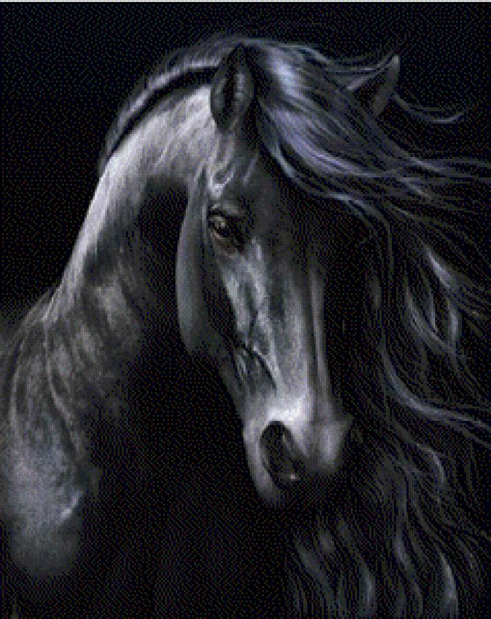 Лошадь - лошадь - предпросмотр